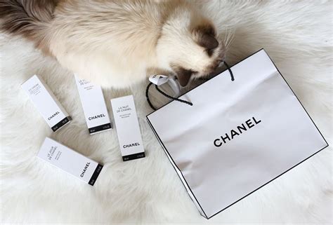 chanel choupette|choupette in love.